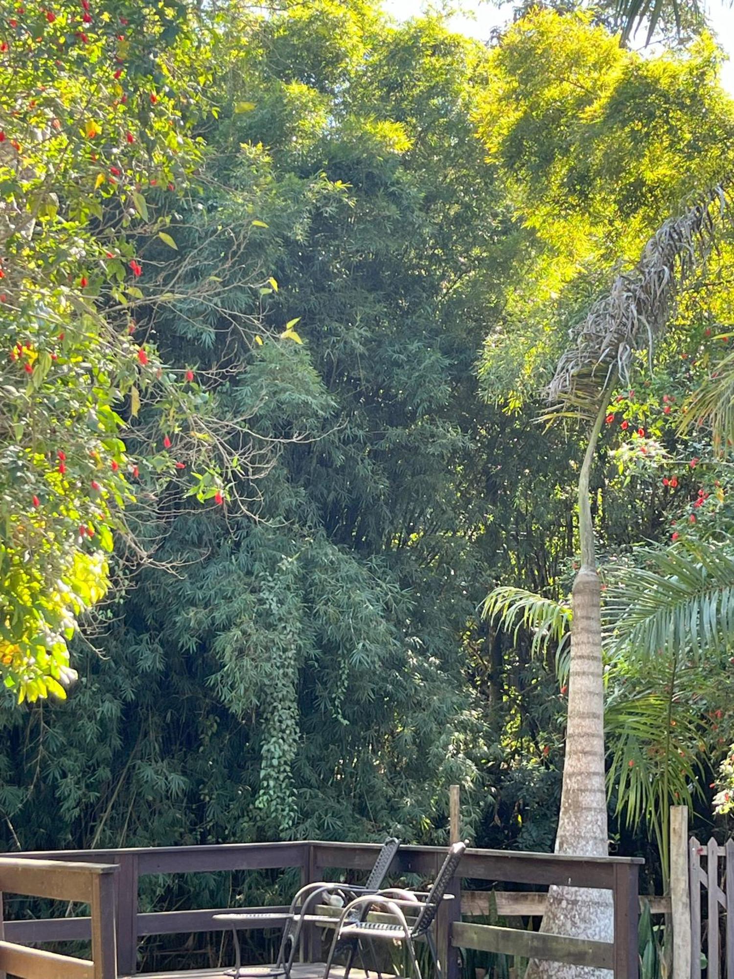 Casa Di Maria 4 Quartos A 500M Centro - Sauna, Piscina, Fogao A Lenha, Churrasqueira - Acesso Privativo Ao Ao Rio - Ideal Para Familias ノバ・フリブルゴ エクステリア 写真